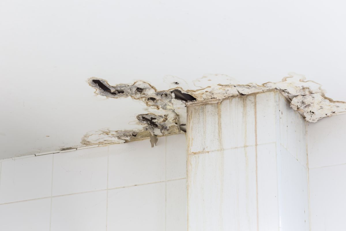 Water Damage,